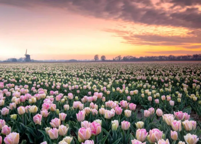 174 シャレー ペッテン